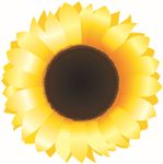 SFMI Auckland Sunflower Logo.jpg