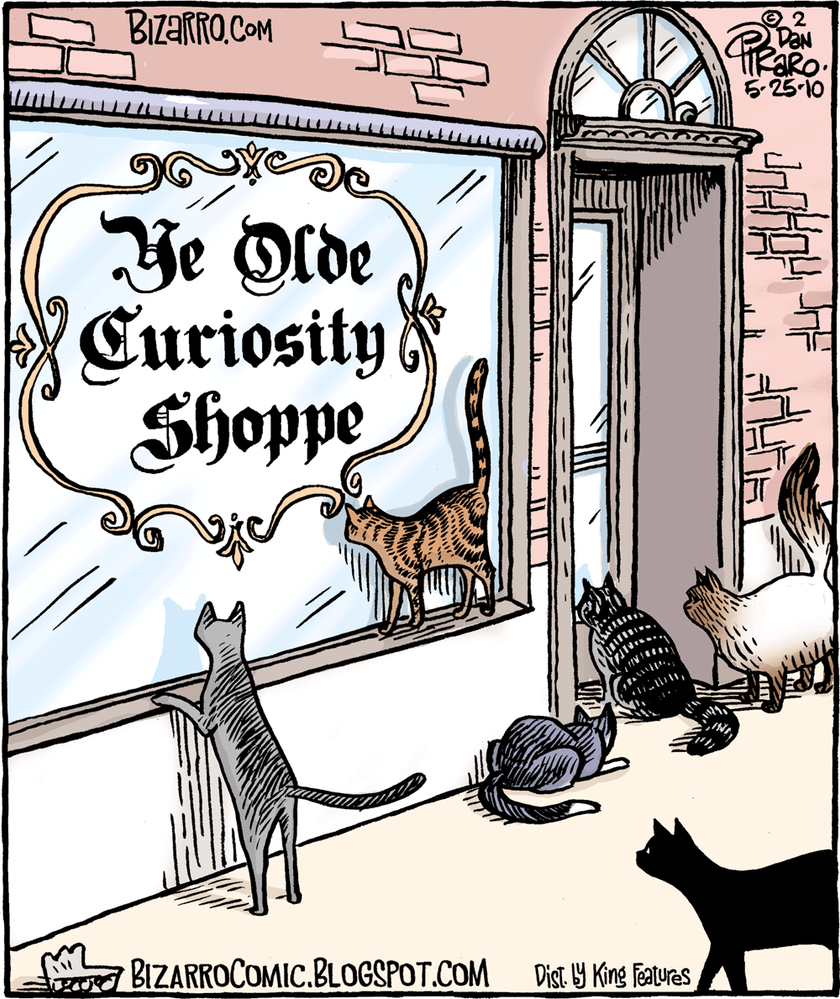 curious cats.png