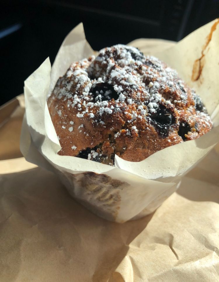 Apricot and blueberry muffin freshly baked from my local cafe - anyone fancy a big bite ??