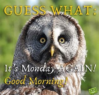 Yep Monday again and I hope you are teaching -